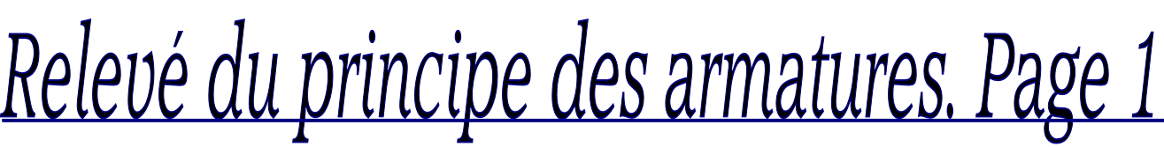 Relevé du principe des armatures. Page 1